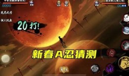 新年忍者爆料视频,揭秘忍者世界不为人知的秘密