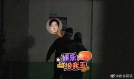 成宇喝醉酒被爆料视频,现场失控引热议